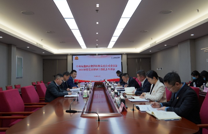 尊龙凯时集团党委书记、董事长任丁出席安逸酒店集团2022年度党员领导干部民主生活会